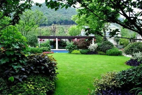 園林景觀設(shè)計入門指南 小白輕松上手的設(shè)計思路與實(shí)踐